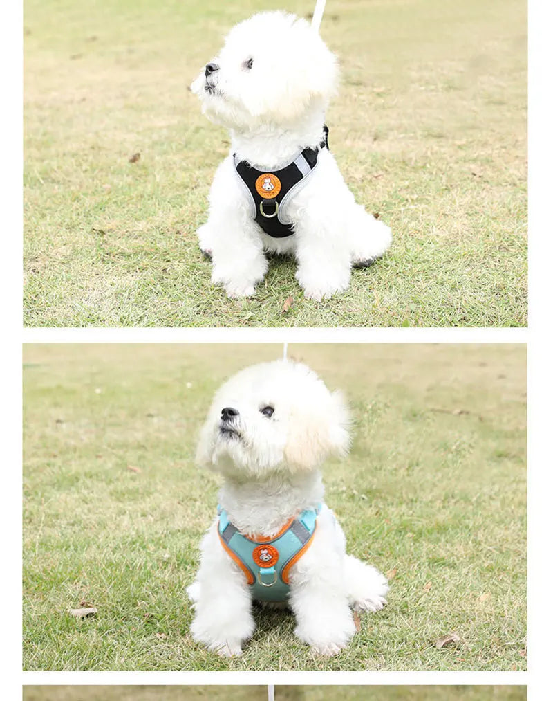 Breathable dog harness adjustable &amp; comfortable Bowlift