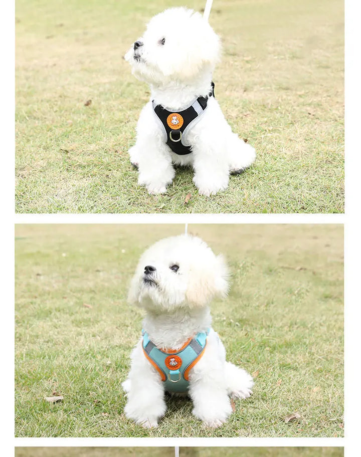 Breathable dog harness adjustable &amp; comfortable Bowlift