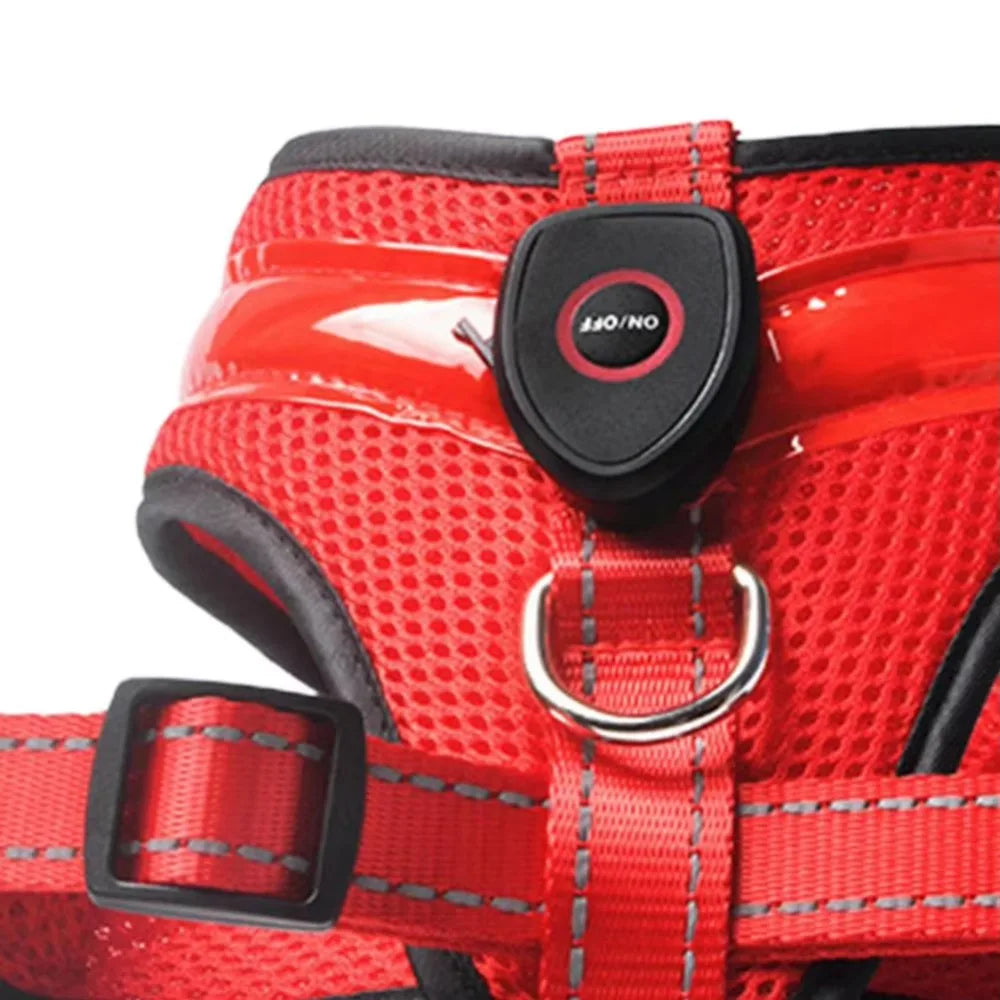 LED Dog Harness USB rechargeable &amp; adjustable Bowlift