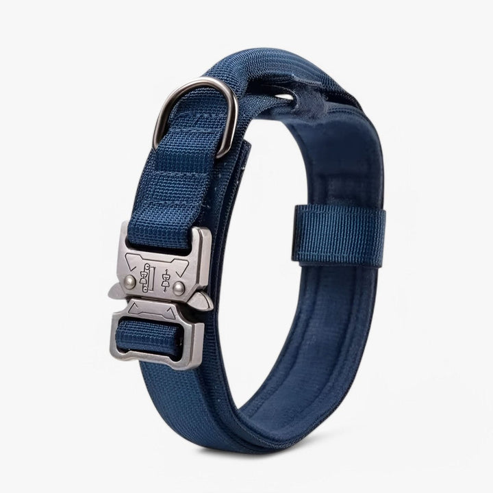 BowLift | Durable &amp; Adjustable Collar for Training &amp; Everyday Use