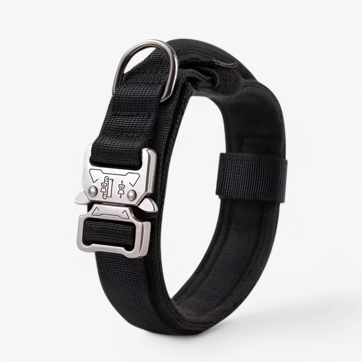 BowLift | Durable &amp; Adjustable Collar for Training &amp; Everyday Use