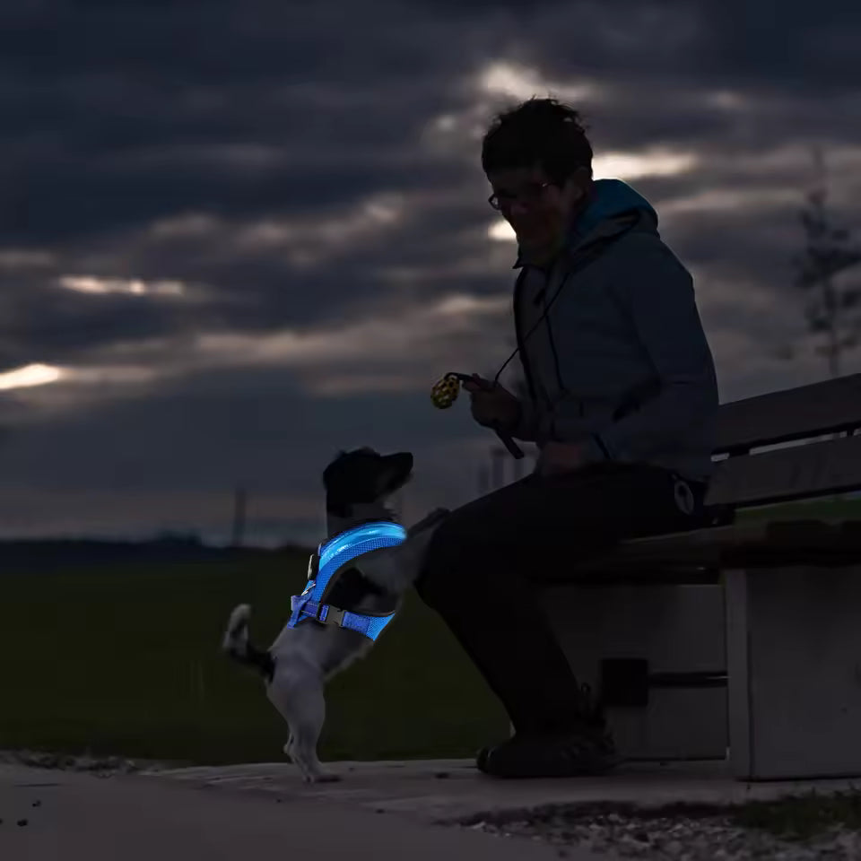 LED Dog Harness USB rechargeable &amp; adjustable Bowlift