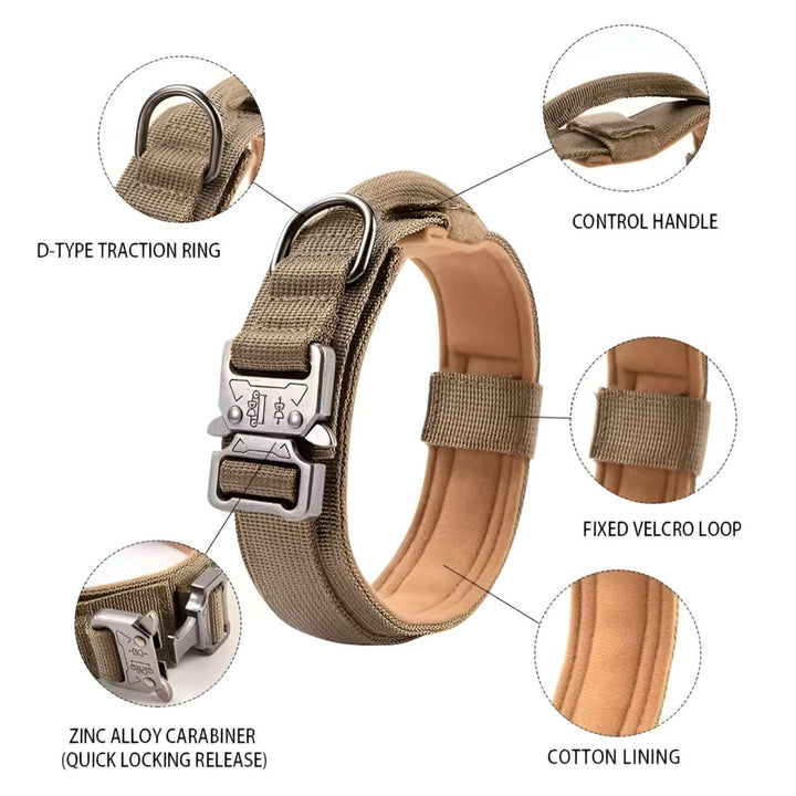 BowLift | Durable &amp; Adjustable Collar for Training &amp; Everyday Use