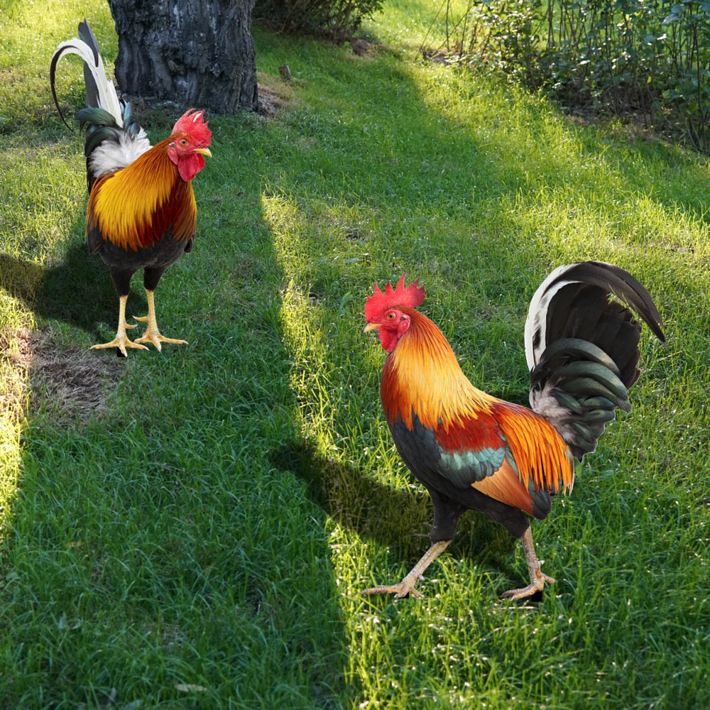 BowLift | Garden figure: Feathered beauty