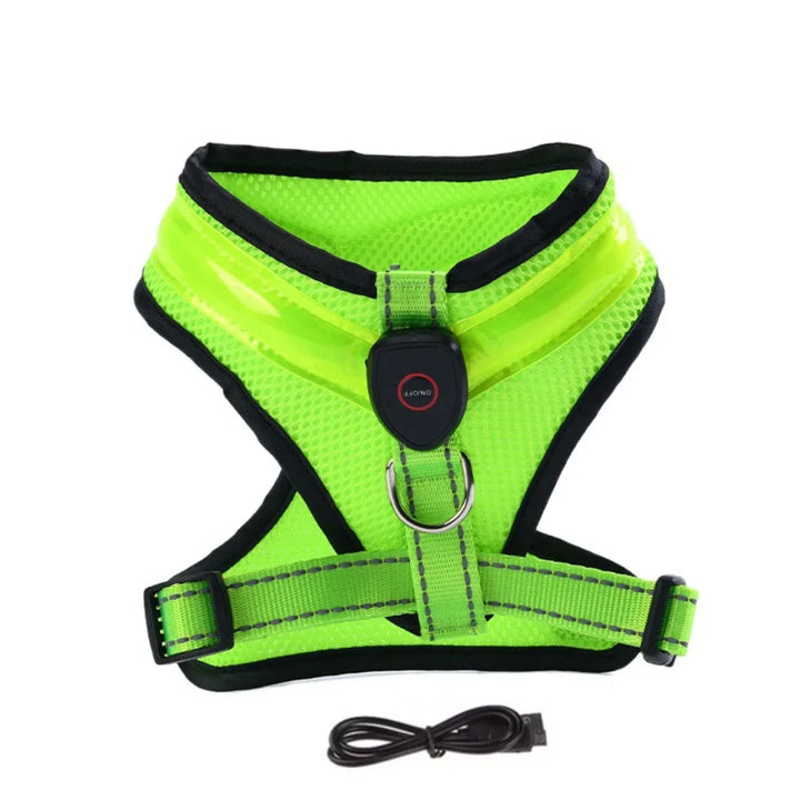 LED Dog Harness USB rechargeable &amp; adjustable Bowlift