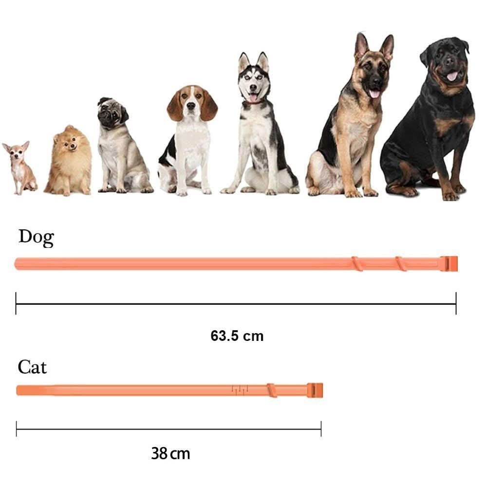 BowLift | Flea &amp; Tick Protection Collar for Dogs &amp; Cats