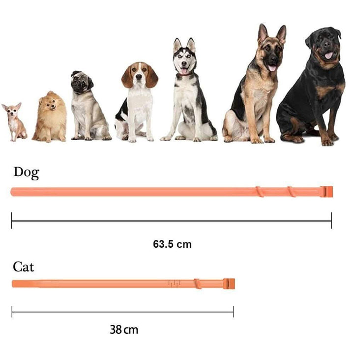 BowLift | Flea &amp; Tick Protection Collar for Dogs &amp; Cats