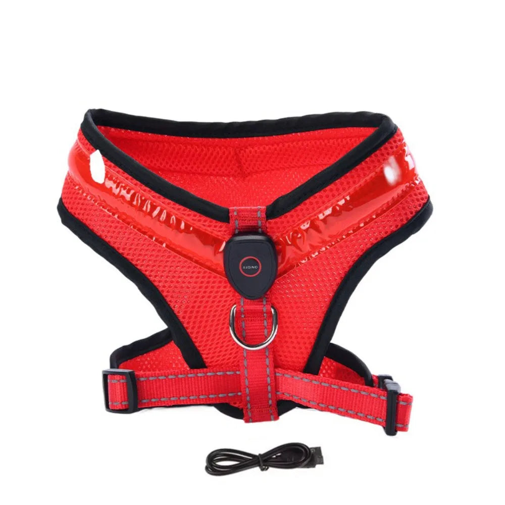 LED Dog Harness USB rechargeable &amp; adjustable Bowlift