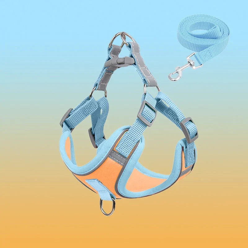 Reflective Puppy Harness – PawSafe Bowlift