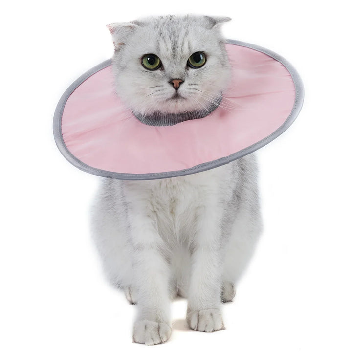 Cat protection collar soft &amp; comfortable Bowlift