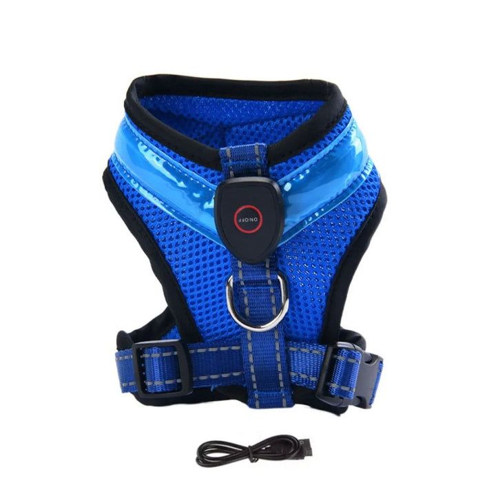 LED Dog Harness USB rechargeable &amp; adjustable Bowlift