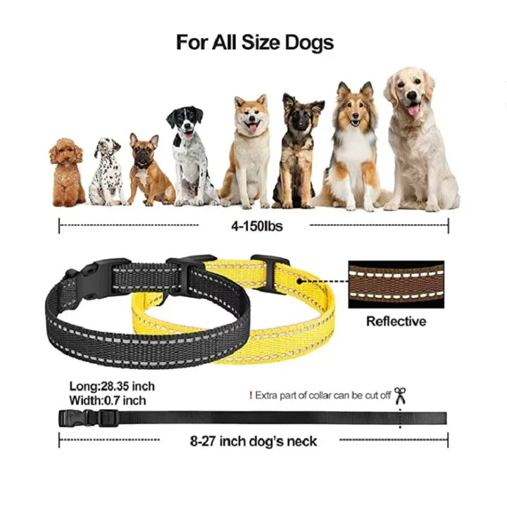 Rechargeable Electric Dog Training Collar with Remote &amp; 1000m Range – PetControl Bowlift
