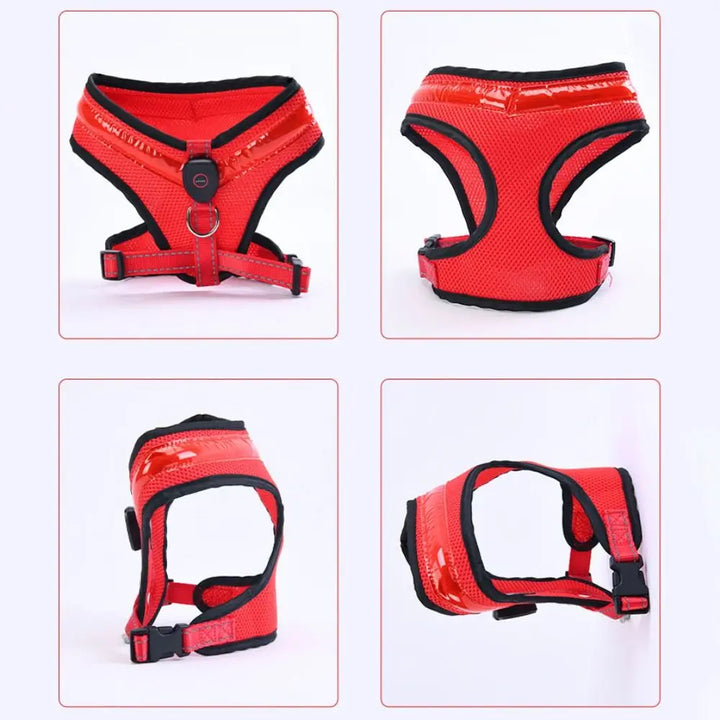 LED Dog Harness USB rechargeable &amp; adjustable Bowlift