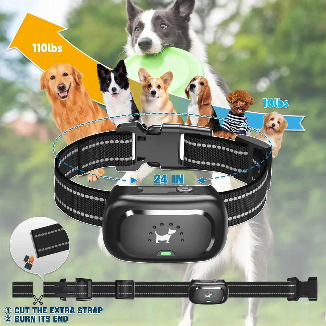 BowLift | Dog Training Collar with Remote – Shock Lock, Sound &amp; Vibration Modes, Waterproof, 1600ft Range