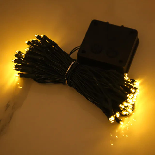 Peach Blossom Fairy Lights