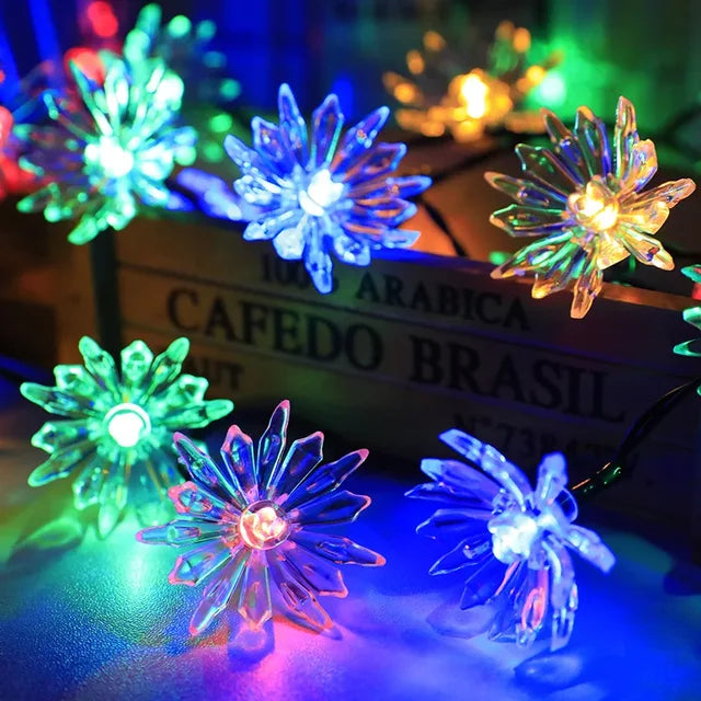 Peach Blossom Fairy Lights