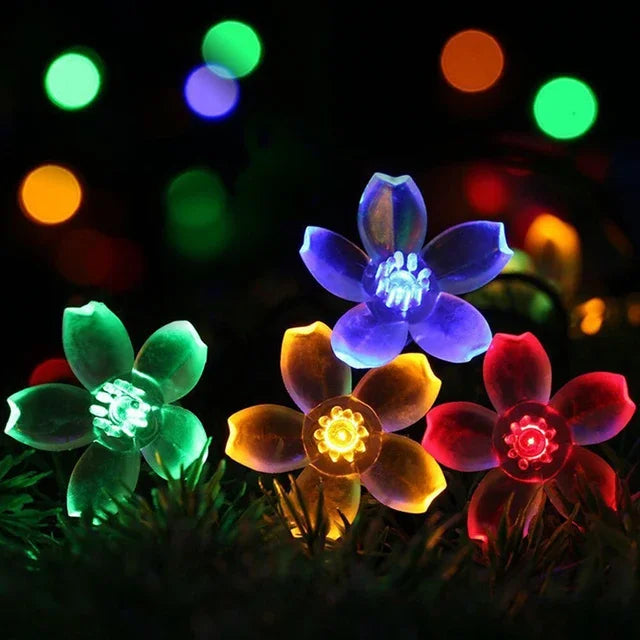 Peach Blossom Fairy Lights