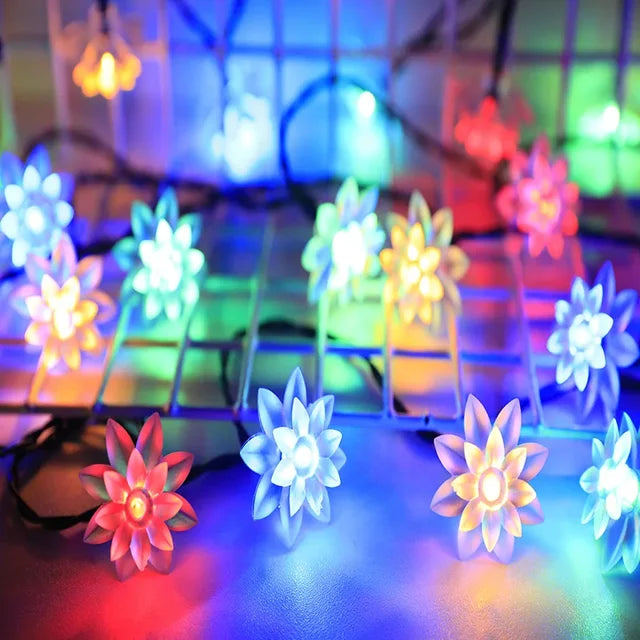 Peach Blossom Fairy Lights