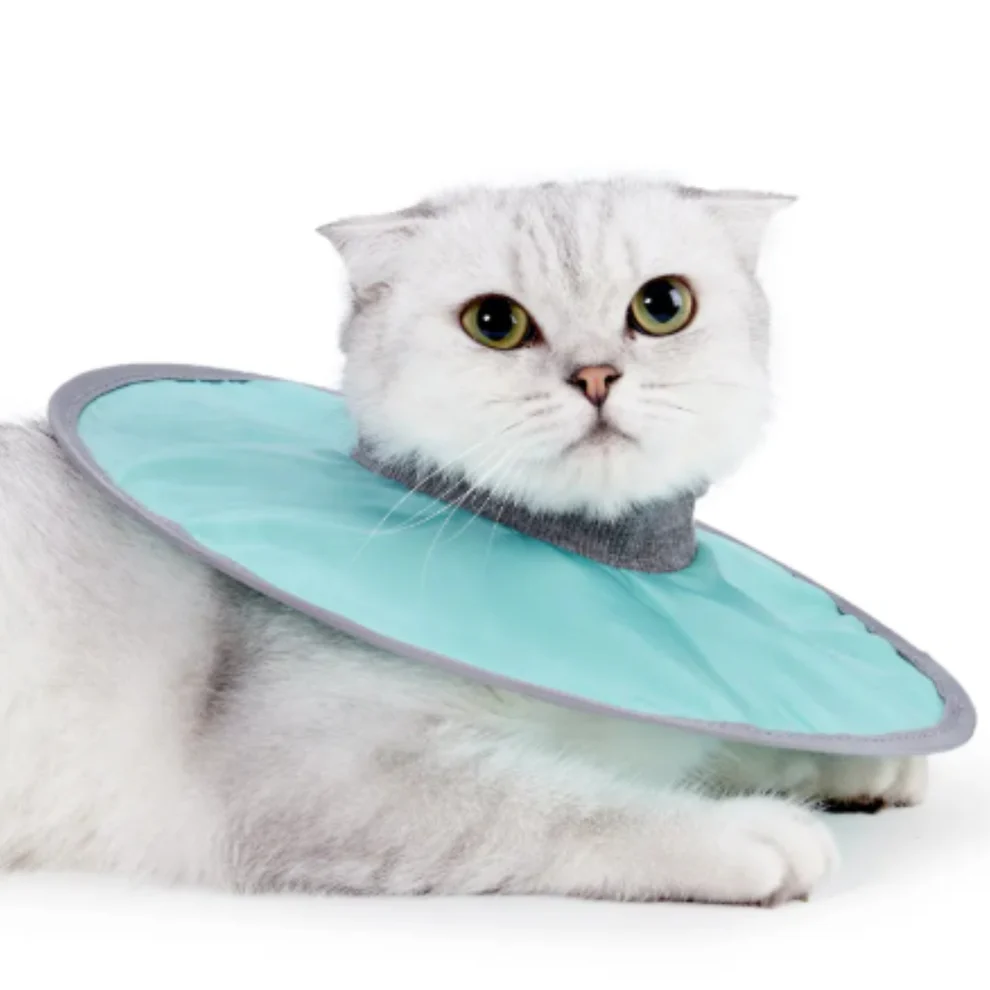 Cat protection collar soft &amp; comfortable Bowlift