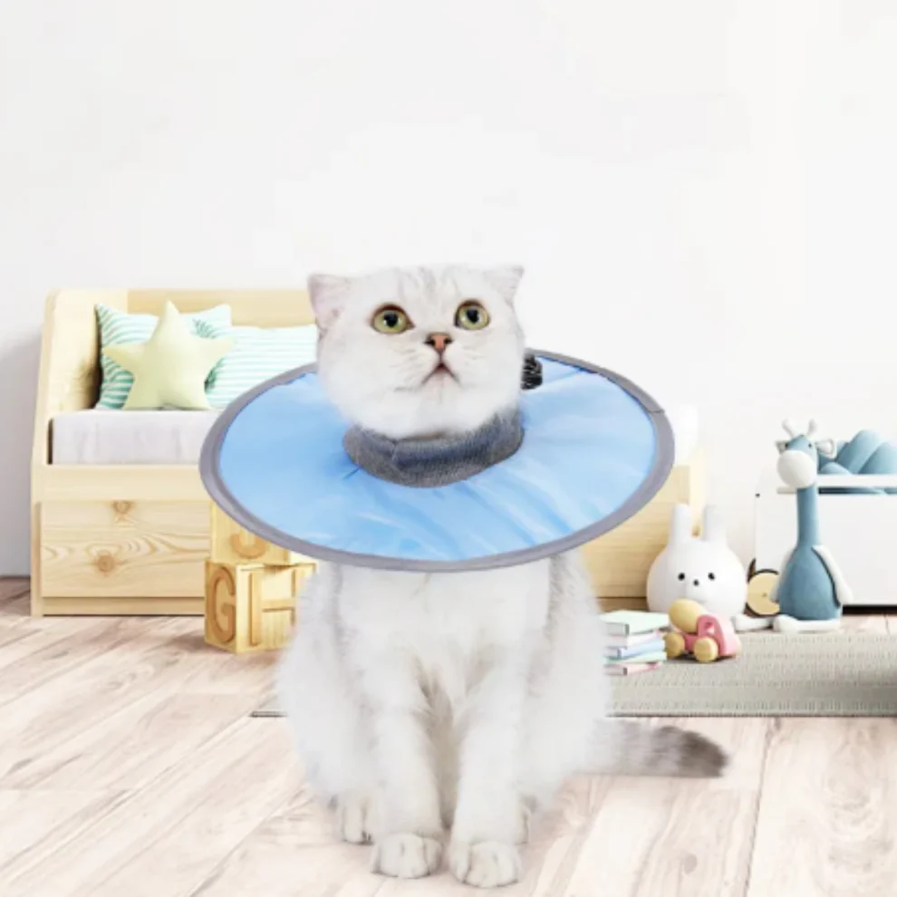 Cat protection collar soft &amp; comfortable Bowlift