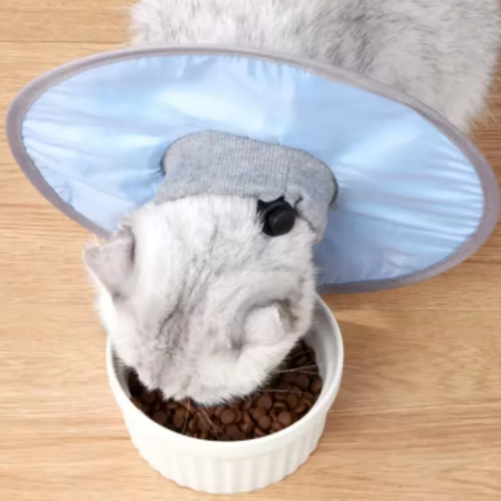 Cat protection collar soft &amp; comfortable Bowlift