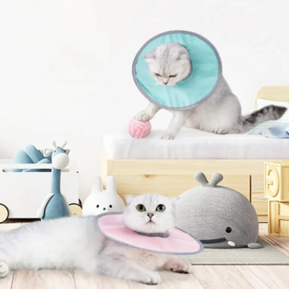 Cat protection collar soft &amp; comfortable Bowlift