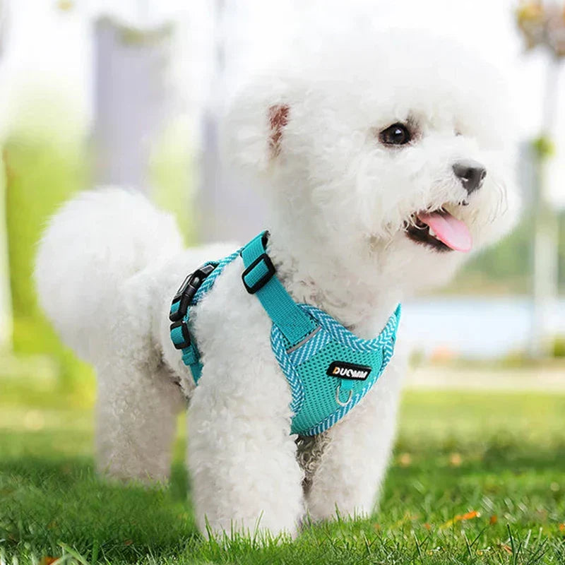 Reflective Dog Harness and Leash Set for Small Dogs – SafeStep Bowlift