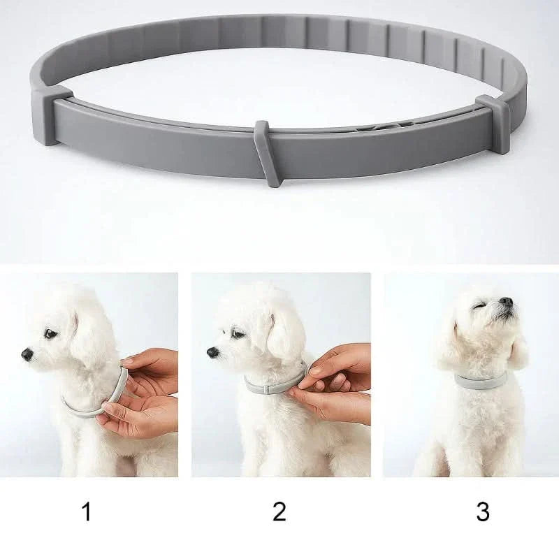 BowLift | FLASHIELD COLLAR – Herbal flea &amp; tick protection collar for dogs &amp; cats