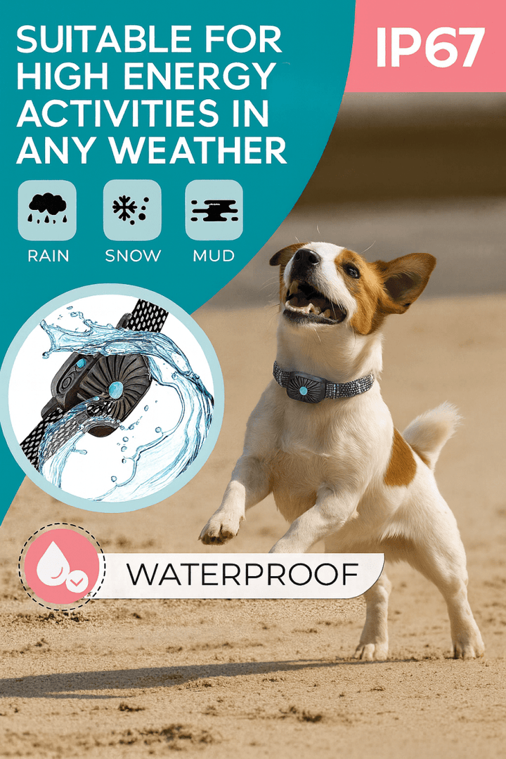 BowLift | BarkLess Nano – Gentle Anti-Bark Collar for Puppies &amp; Small Dogs