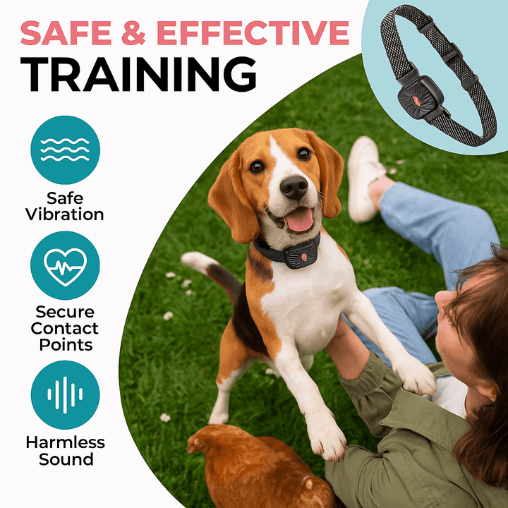 BowLift | BarkLess Nano – Gentle Anti-Bark Collar for Puppies &amp; Small Dogs
