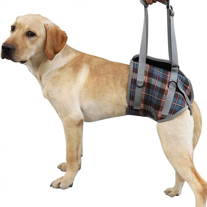 BowLift | Orthopedic Rear Leg Support Harness for Dogs – Ideal for Arthritis, Hip Dysplasia &amp; Mobility Aid