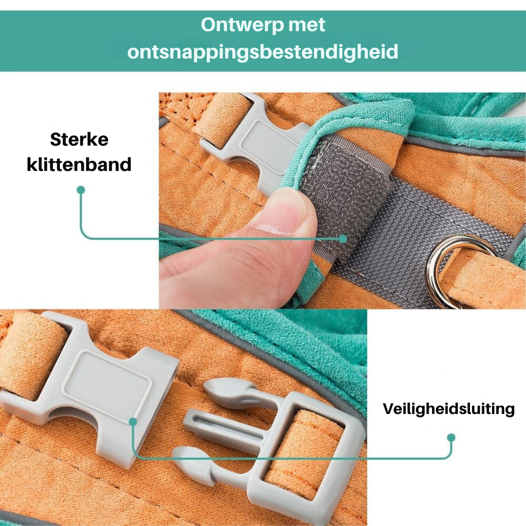Cat Harness - Oscar Bowlift