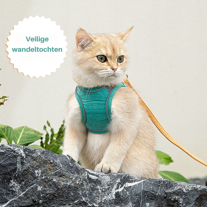 Cat Harness - Oscar Bowlift