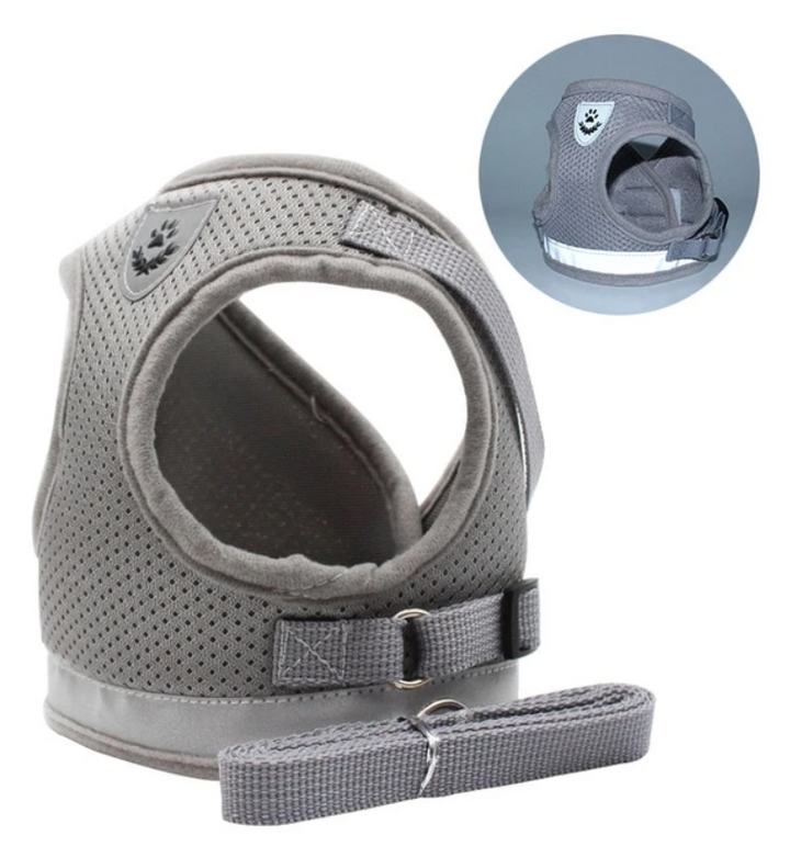 Cat Harness with Leash - AdventureKit Bowlift