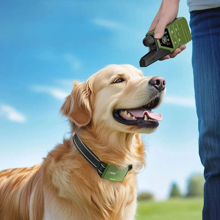 BowLift | JECO – Professional Dog Training Collar | Anti-Bark &amp; Remote Control