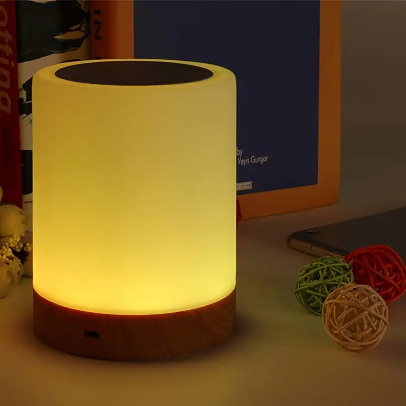 Dimmable LED Night Light with Modern Design and colour Change