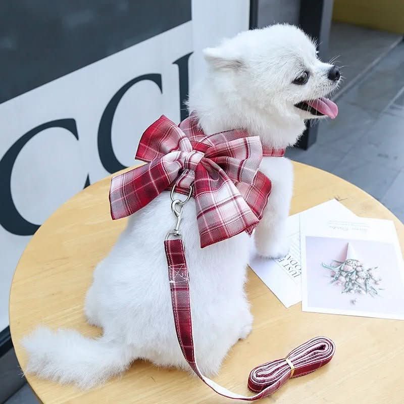 BowLift | AURÉLIEN HARNESS – Adjustable dog harness with bow for stylish walks