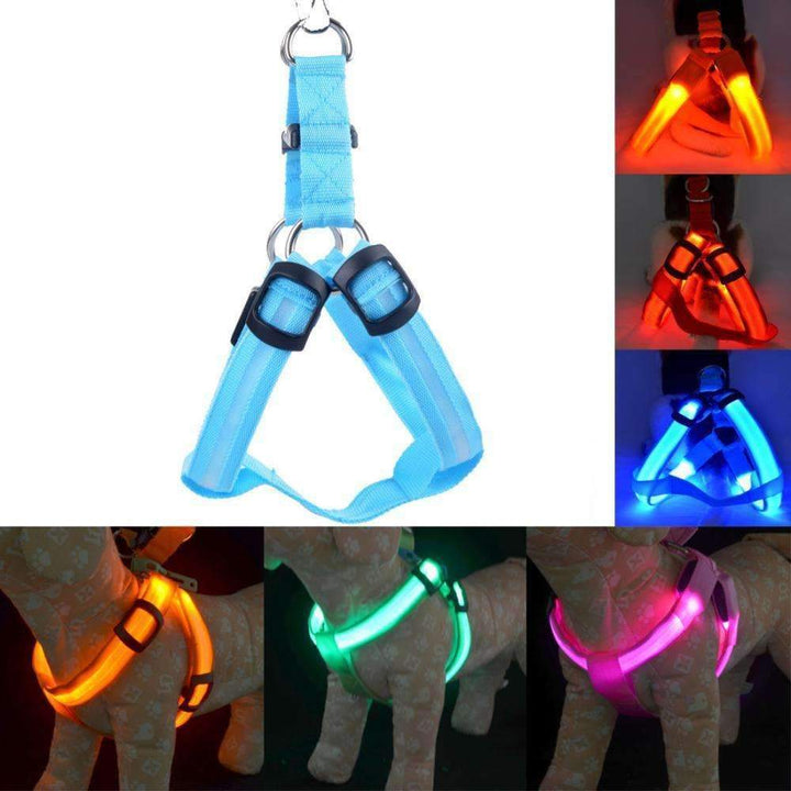 BowLift | High-Quality Collar Dog - Without Any Fear of Missing Your Beloved Pet Dog!
