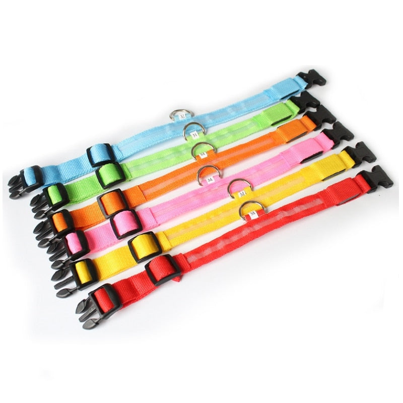 Dog collar with LED lighting - GlowCollar Bowlift