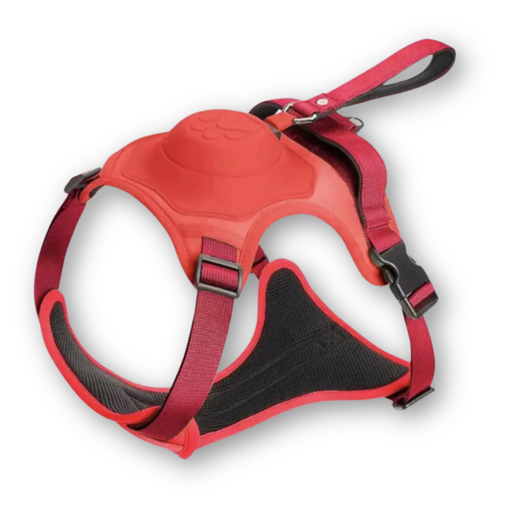 Dog Harness and Lead in One - FlexiLead Bowlift