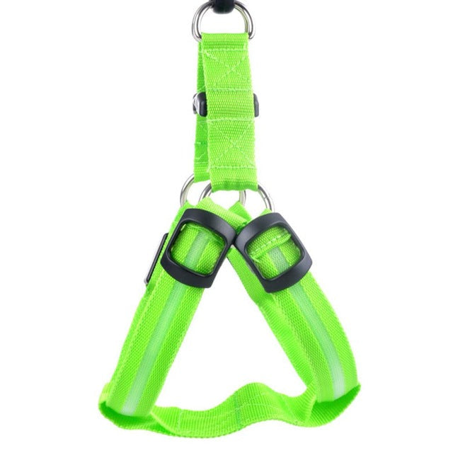 Dog harness with LED - Glow&amp;Go Bowlift