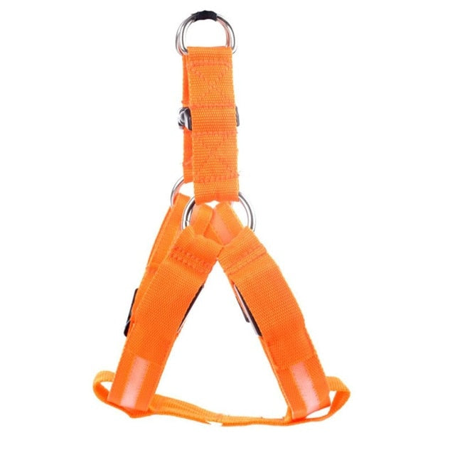 Dog harness with LED - Glow&amp;Go Bowlift