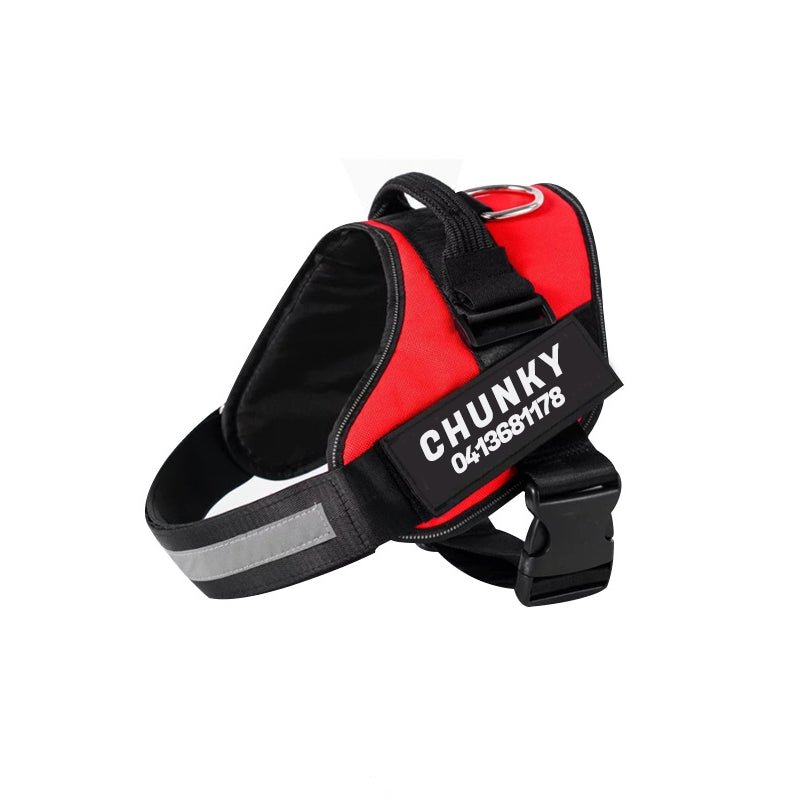 BowLift | Dogsafe Harness – Reflective, No-Pull Dog Harness with Personalizable Name Tag