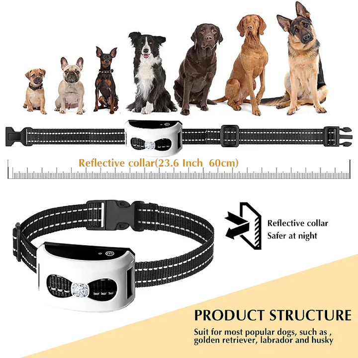 BowLift | 2-in-1 Wireless Dog Fence &amp; Outdoor Training Collar