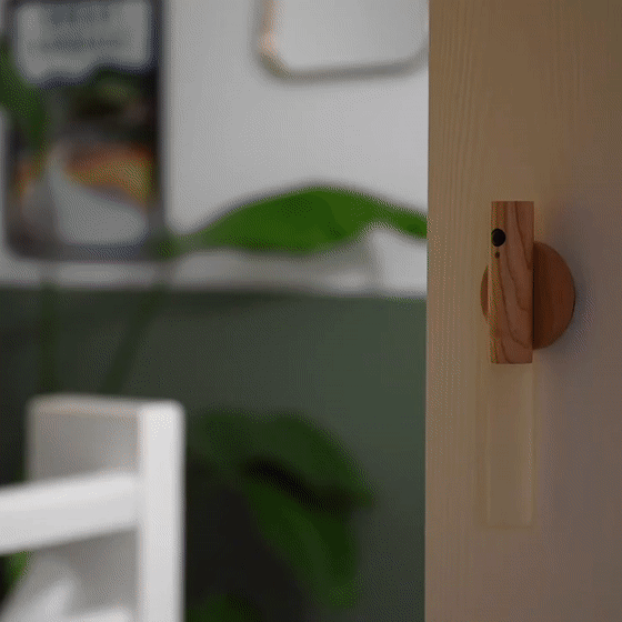 LED Night Light with Motion Sensor - Instant Lighting for Home |