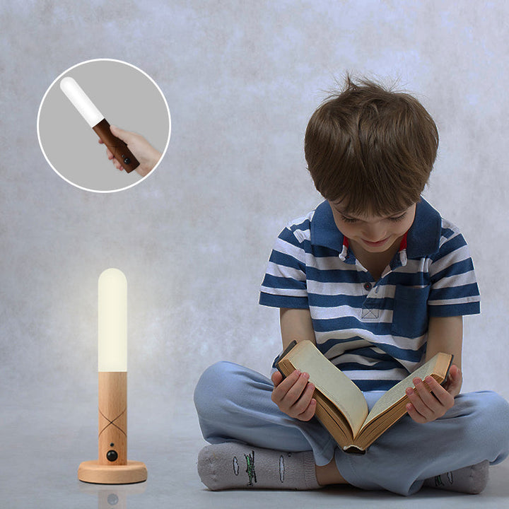 Intelligent Sensor Night Light |