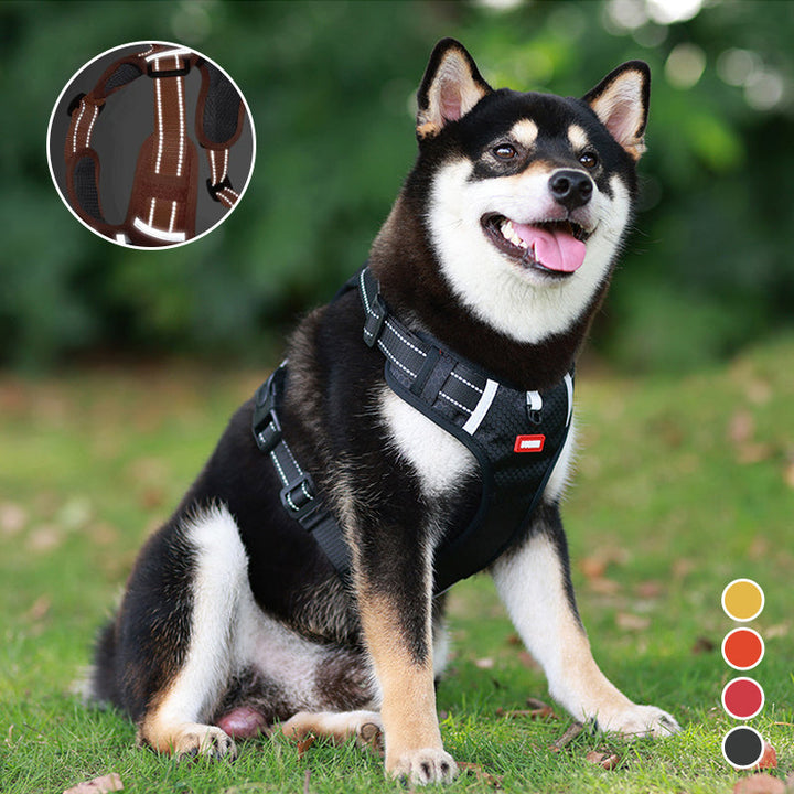 BowLift | Reflective Dog Harness