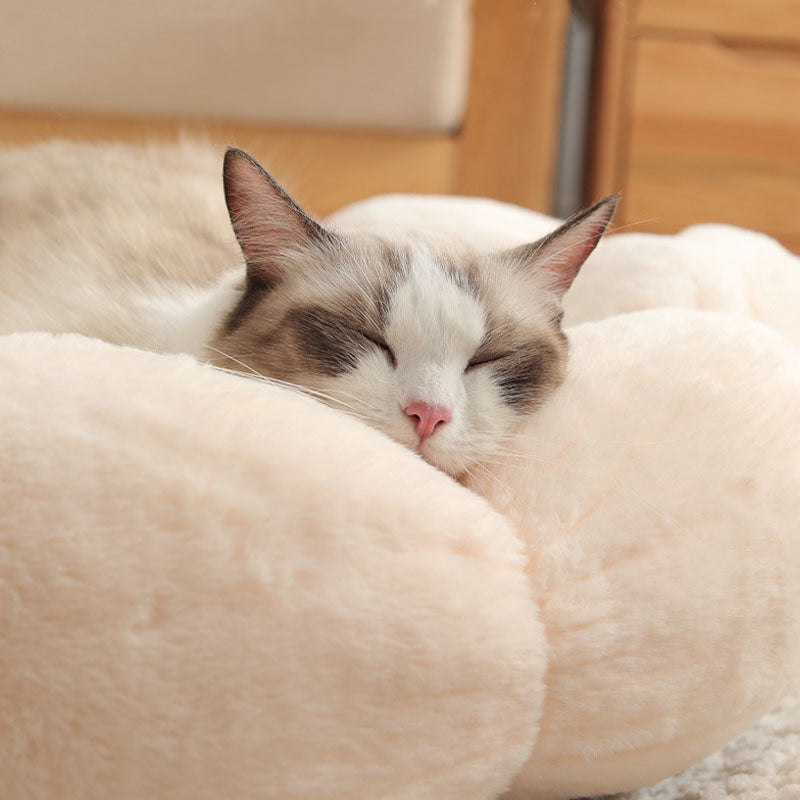 BowLift | Deep Sleep Flower Shape Cat Bed