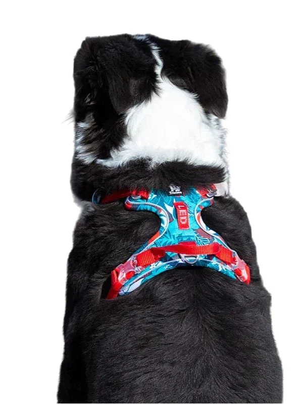 Comfortable &amp; Durable Dog Harness – Vendo Bowlift