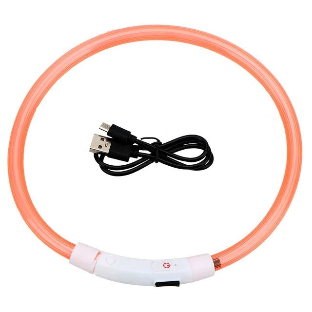 BowLift | Light Up Dog Collar, USB Rechargeable LED Glowing Collar